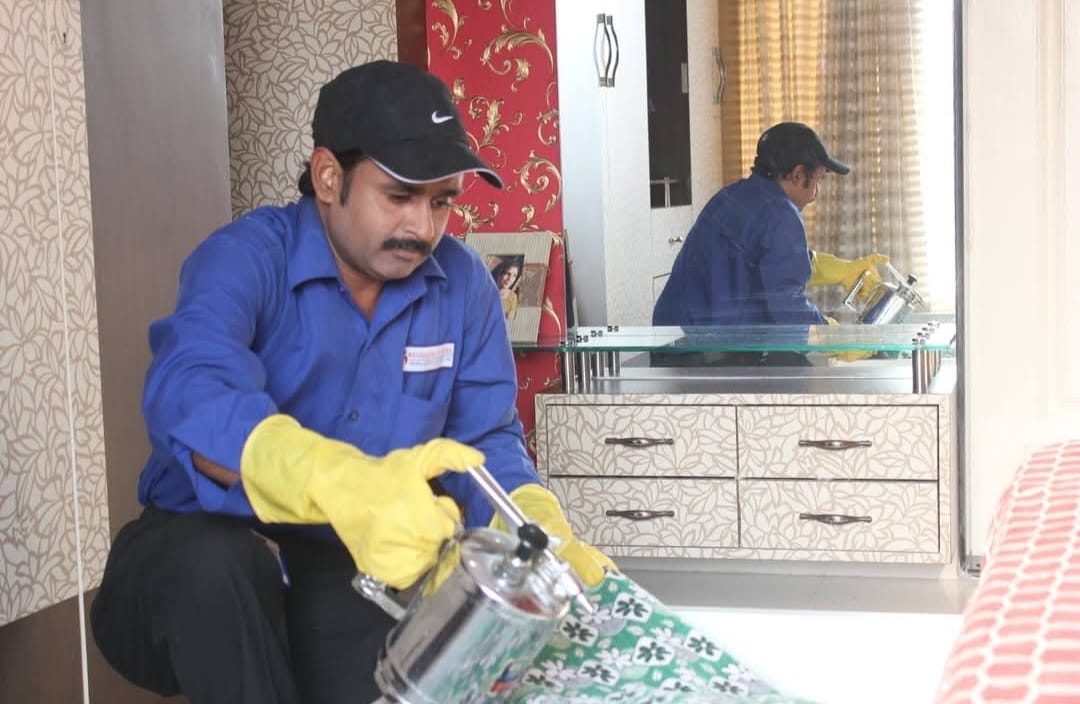 Furniture Pest Control